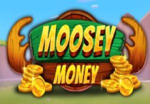 General information about Moosey Money slot