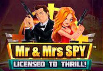 Mr & Mrs Spy logo