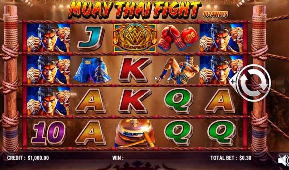 Muay Thai Fight