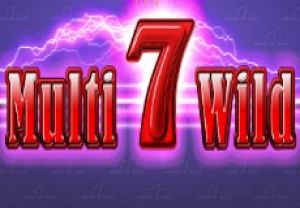 General information about Multi 7 Wild slot