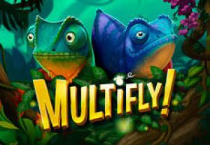 General information about MultiFly slot