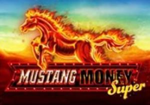 General information about Mustang Money Super slot