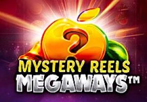 General information about Mystery Reels Megaways slot