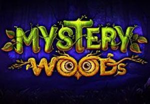 General information about Mystery Woods slot