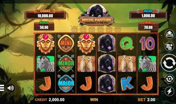 Mystic Panther Treasures of the Wild