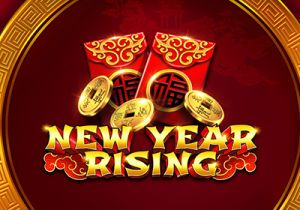 General information about New Year Rising slot