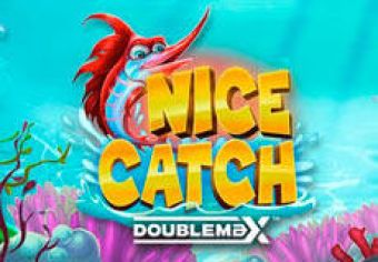 Nice Catch DoubleMax logo
