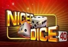 Nicer Dice 40