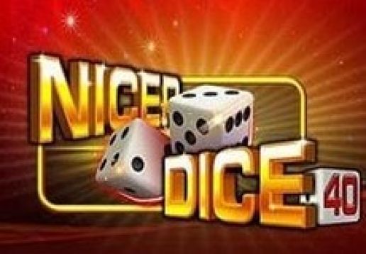 Nicer Dice 40 logo