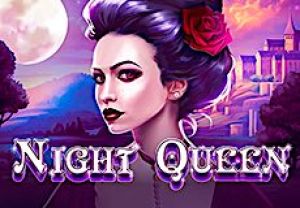 General information about Night Queen slot