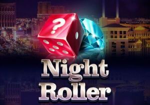 General information about Night Roller slot