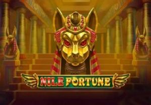 General information about Nile Fortunes slot