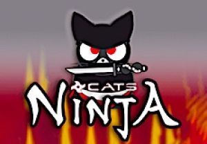 General information about Ninja Cats slot