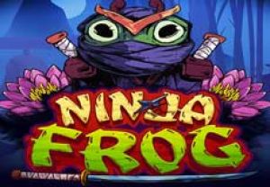 General information about Ninja Frog slot