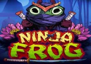General information about Ninja Frog slot
