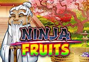 General information about Ninja Fruits slot