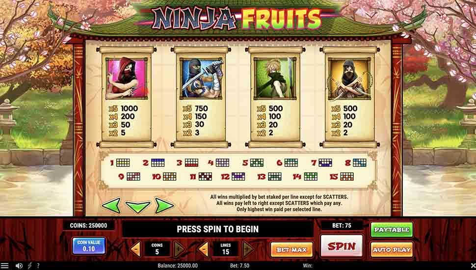 Ninja Fruits slot paytable