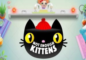 General information about Not Enough Kittens slot