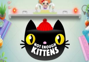 General information about Not Enough Kittens slot