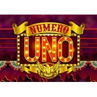 Numero Uno Online Slot  Free Spins + Wild Showdown