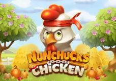 Nunchucks Chicken 