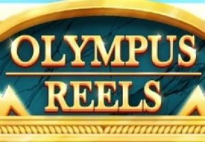 General information about Olympus Reels slot