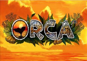 General information about Orca slot