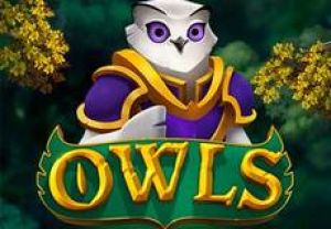 General information about Owls slot