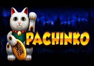 General information about Pachinko slot