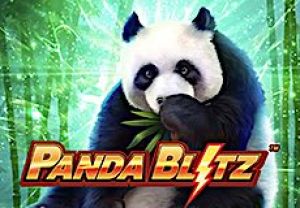 General information about Panda Blitz slot