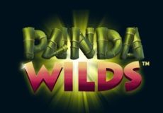 Panda Wilds 