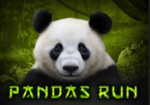 General information about Panda’s Run slot