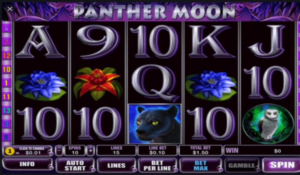 Panther Moon