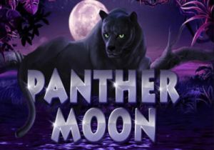 General information about Panther Moon slot