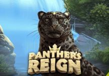 Panther's Reign
