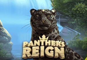 General information about Panther's Reign slot