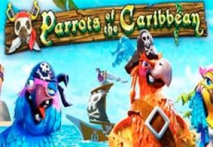 General information about Parrots of the Caribbean slot