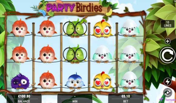 Party Birdies