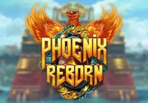 General information about Phoenix Reborn slot