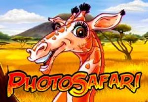 General information about Photo Safari slot