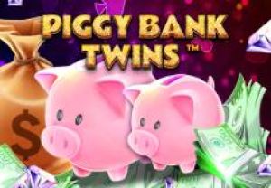 General information about Piggy Bank Twins slot