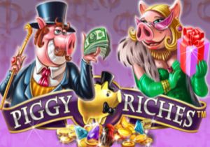 General information about Piggy Riches slot