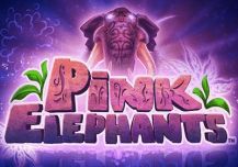 Pink Elephants