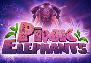 General information about Pink Elephants slot