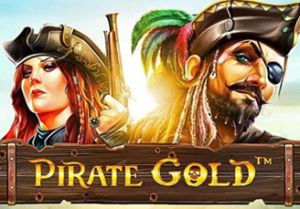 General information about Pirate Gold slot