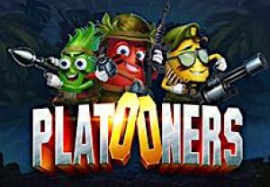 General information about Platooners slot