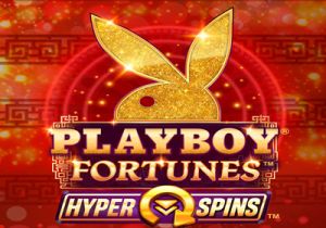 General information about Playboy Fortunes Hyperspins slot