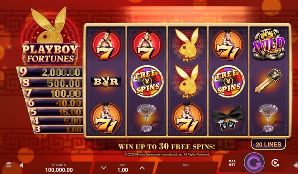 Playboy Fortunes