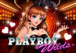 General information about Playboy Wilds slot