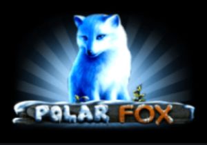 General information about Polar Fox slot